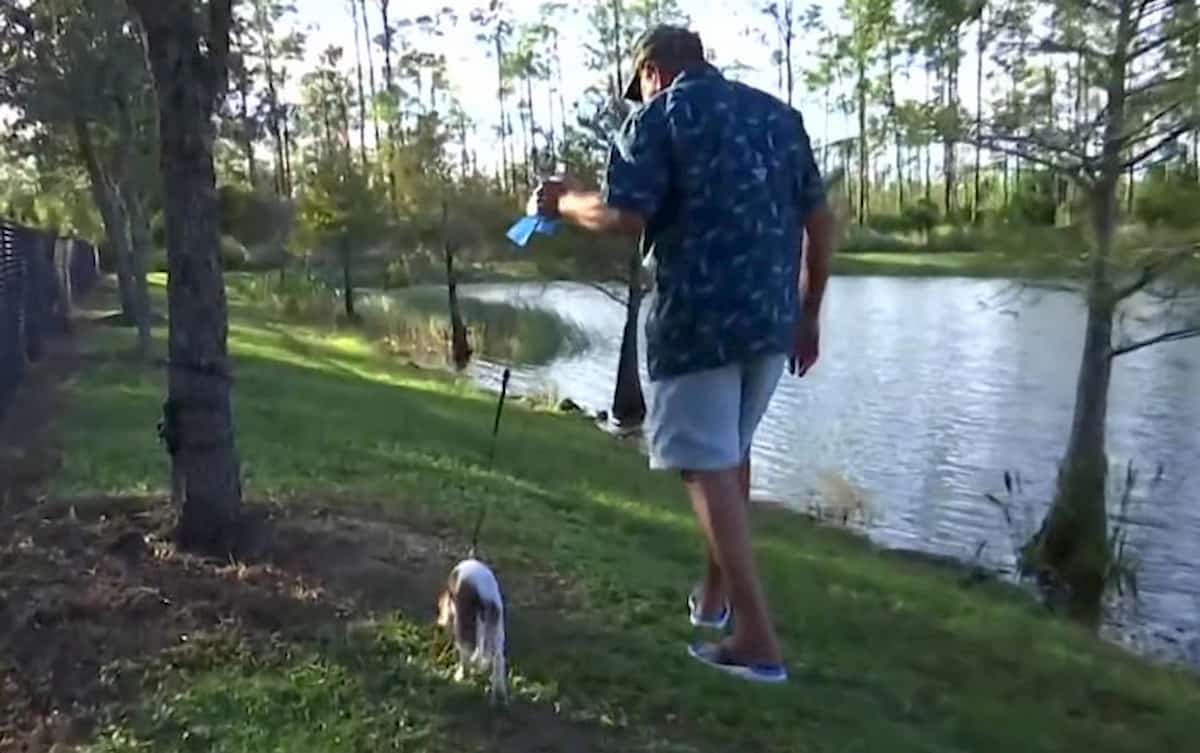 homem a passear o cão bebe em segurança