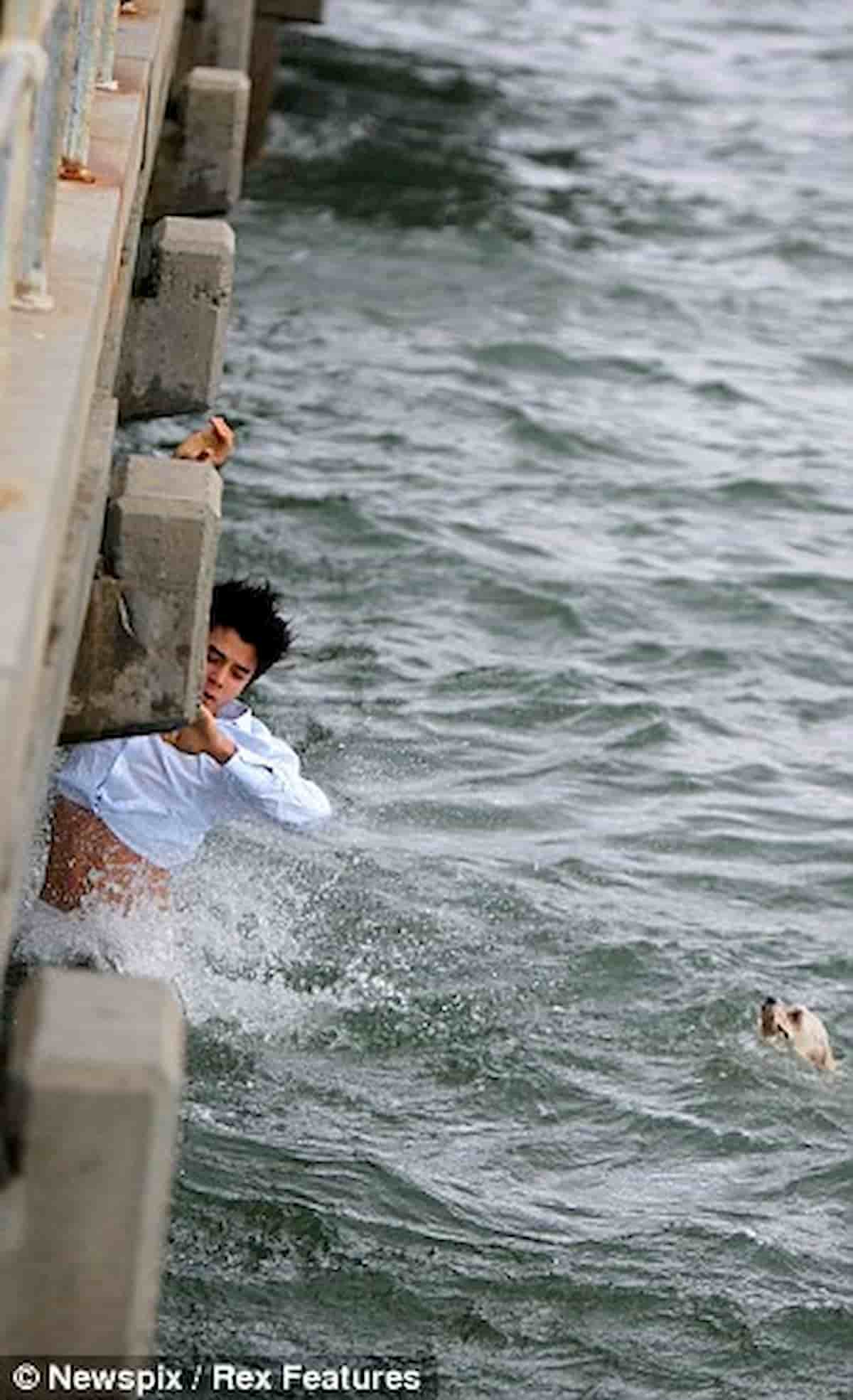 rapaz salva vida de cachorro Shih-Tzu que se afogava em alto mar